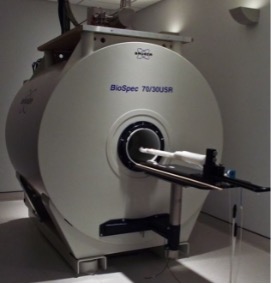 image of 7T MRI